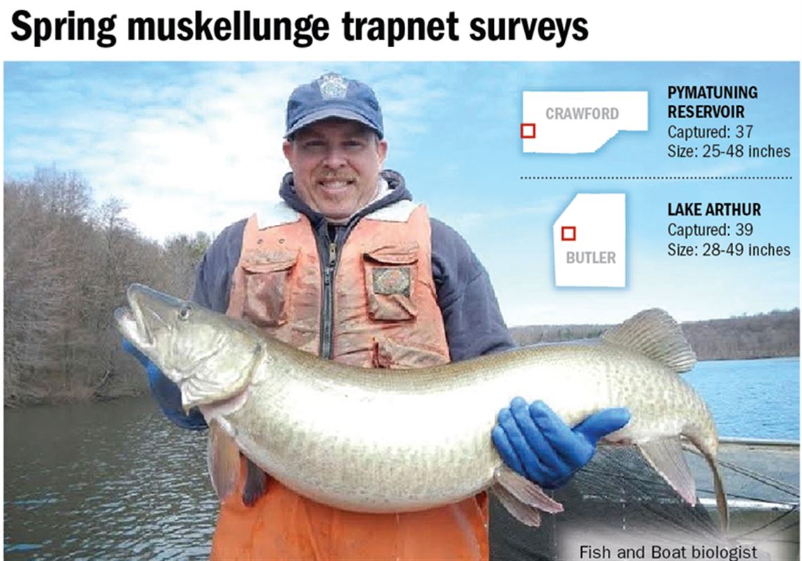 Survey suggests successful fish administration at Lake Arthur and Pymatuning