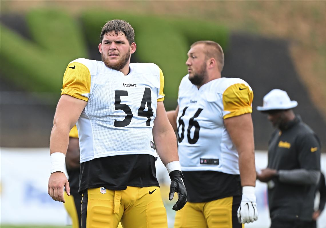 Jason Mackey'S In Depth Look At Cam Heyward'S Public Image - 6ided6i