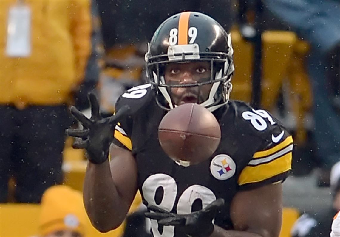 Panthers sign free agent WR Cotchery from Steelers