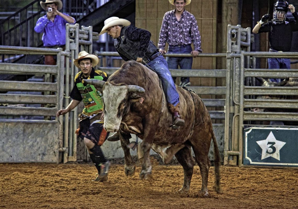 Matthew A. King Pittsburgh should say no rodeos Pittsburgh PostGazette