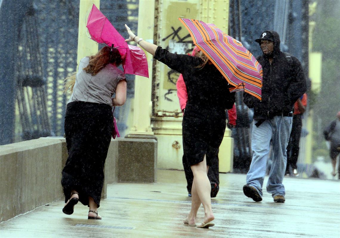 Wind storm could bring gusts of up to 60 mph Sunday