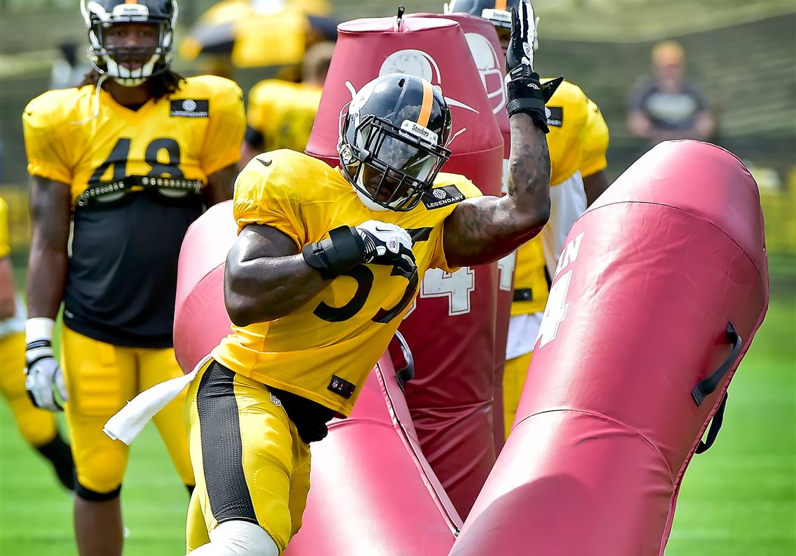 Steelers LB Vince Williams picks'stability and a winning environment'