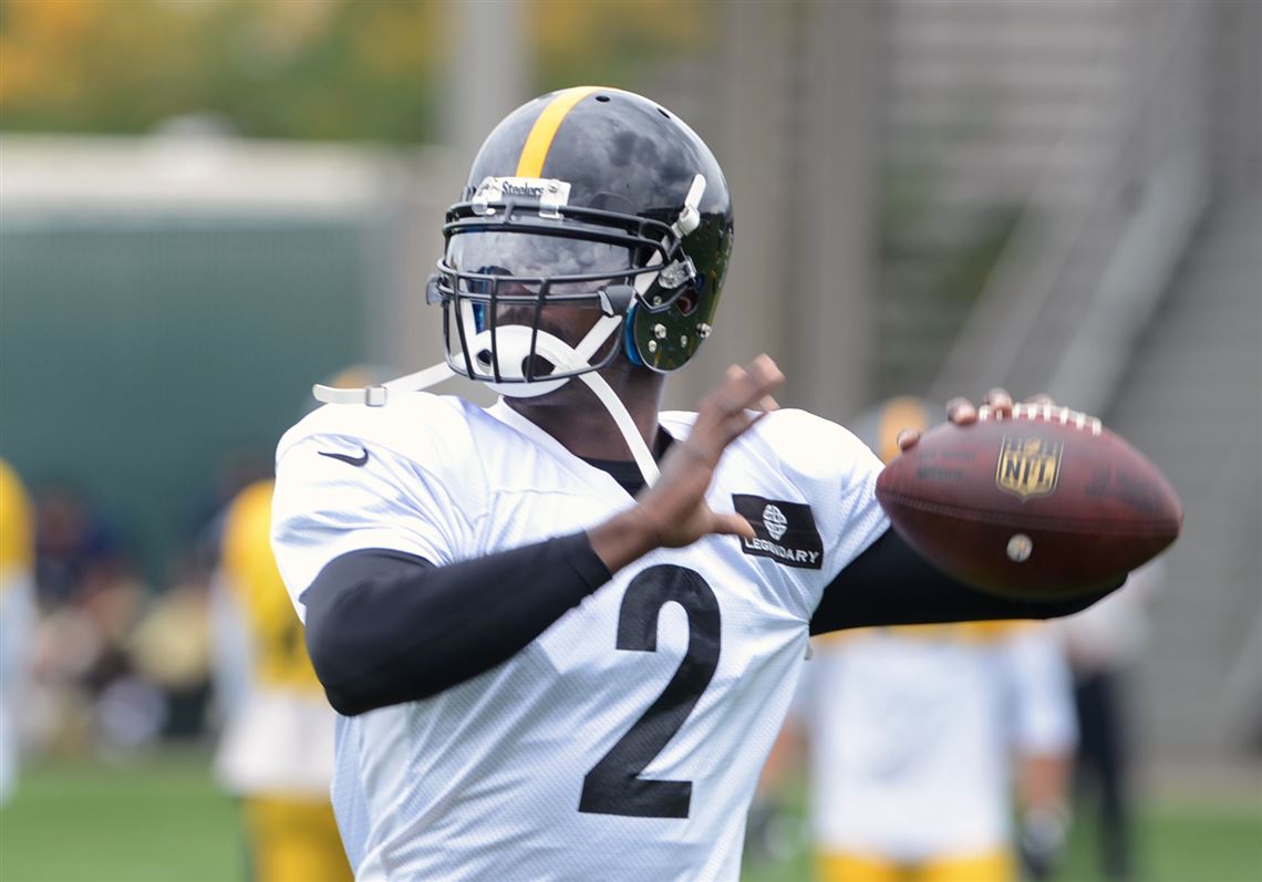 Michael Vick stands up and addresses past mistakes on first day with  Steelers