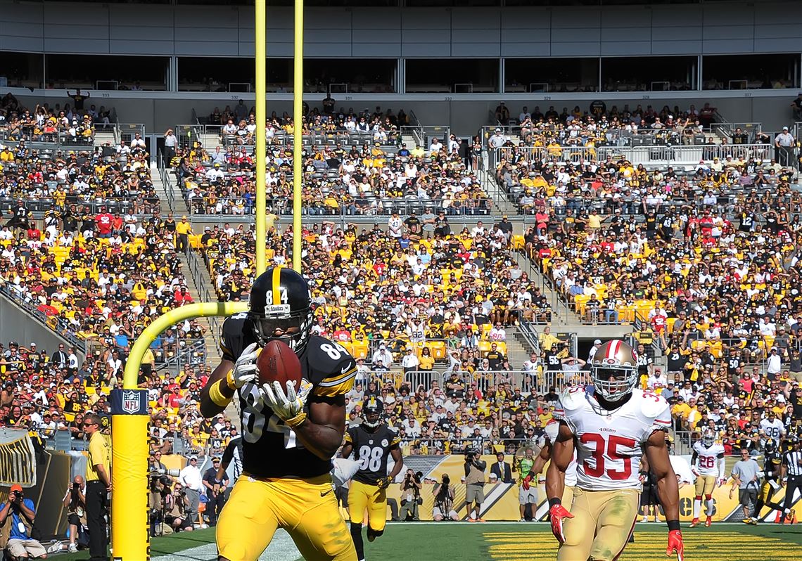 Mike Vick hits Darrius Heyward-Bey for first TD pass as Steeler