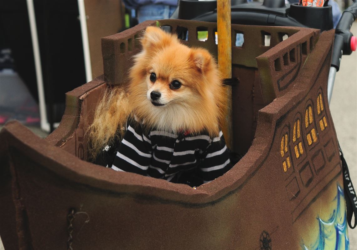 Pet Events: DogtoberFEST