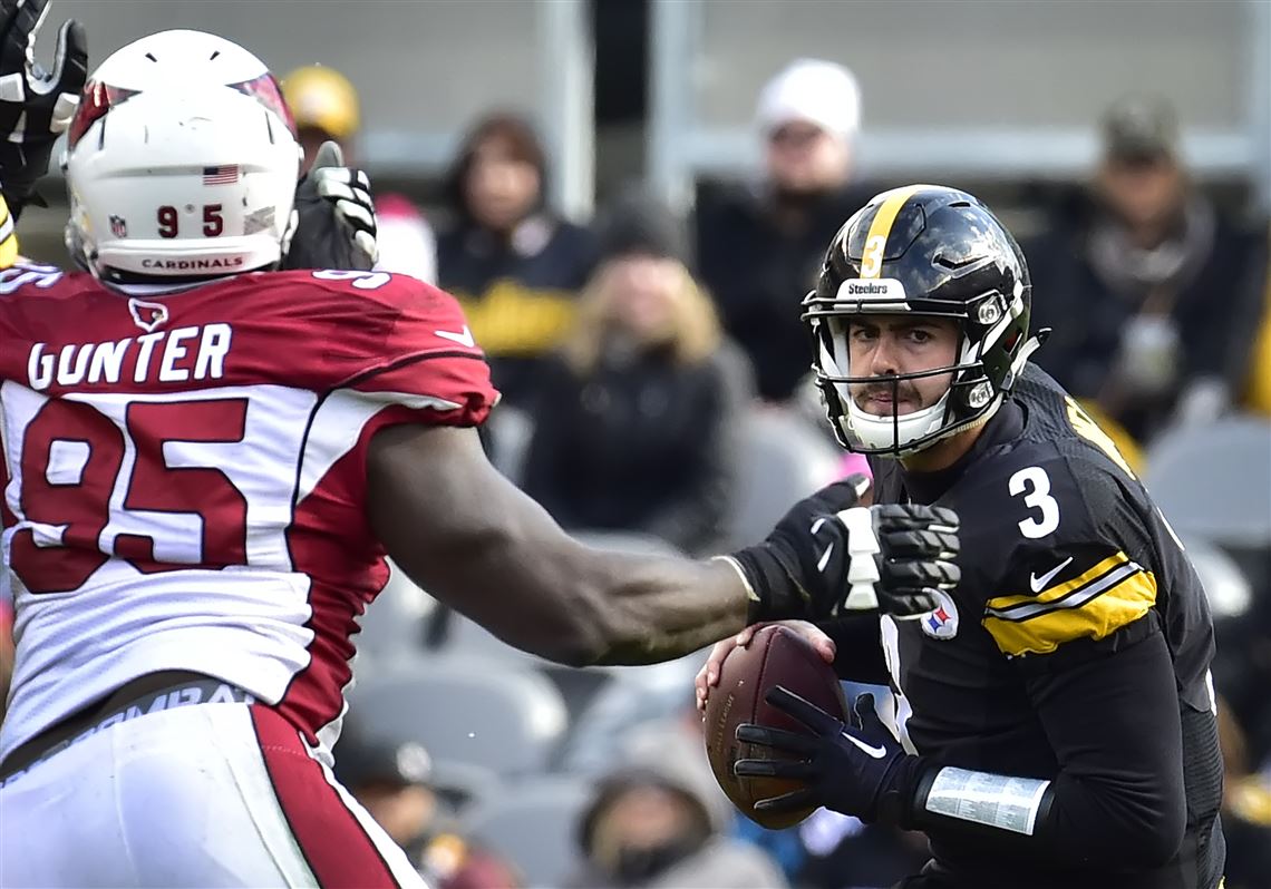 Pittsburgh Steelers' Michael Vick: Landry Jones is the starter, I'm No. 2  vs Browns 