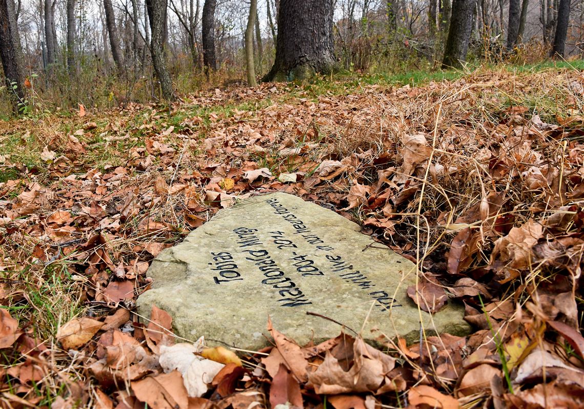 Can I Bury My Dog In The Woods