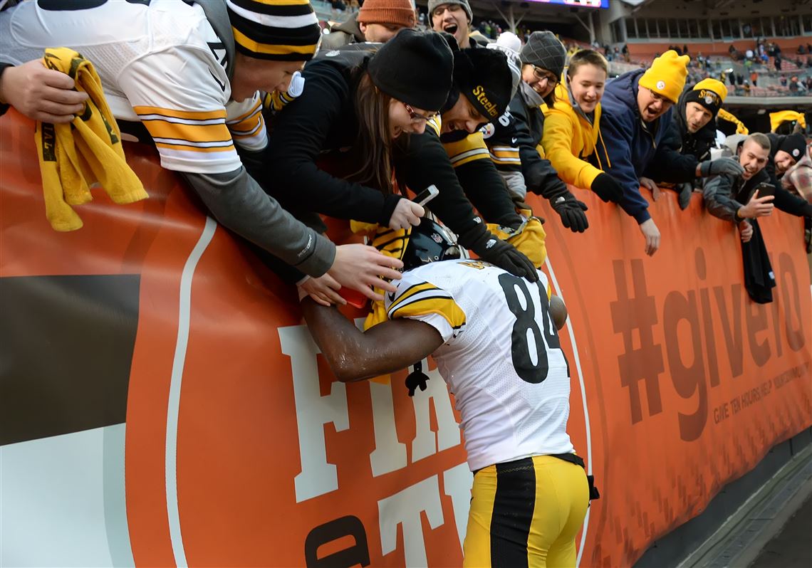 Steelers pull off parlay in season finale to make playoffs