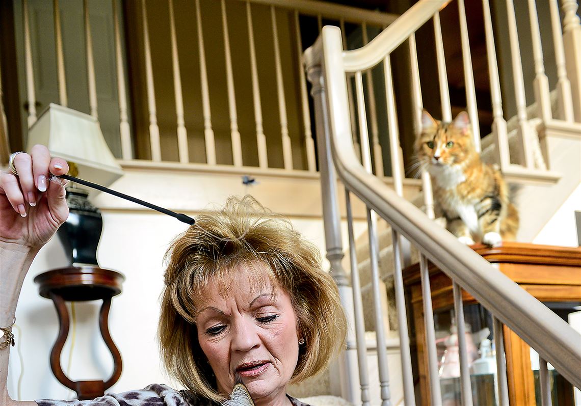 Pet Tales Cats take center stage at Steel City Kitties show Pittsburgh PostGazette