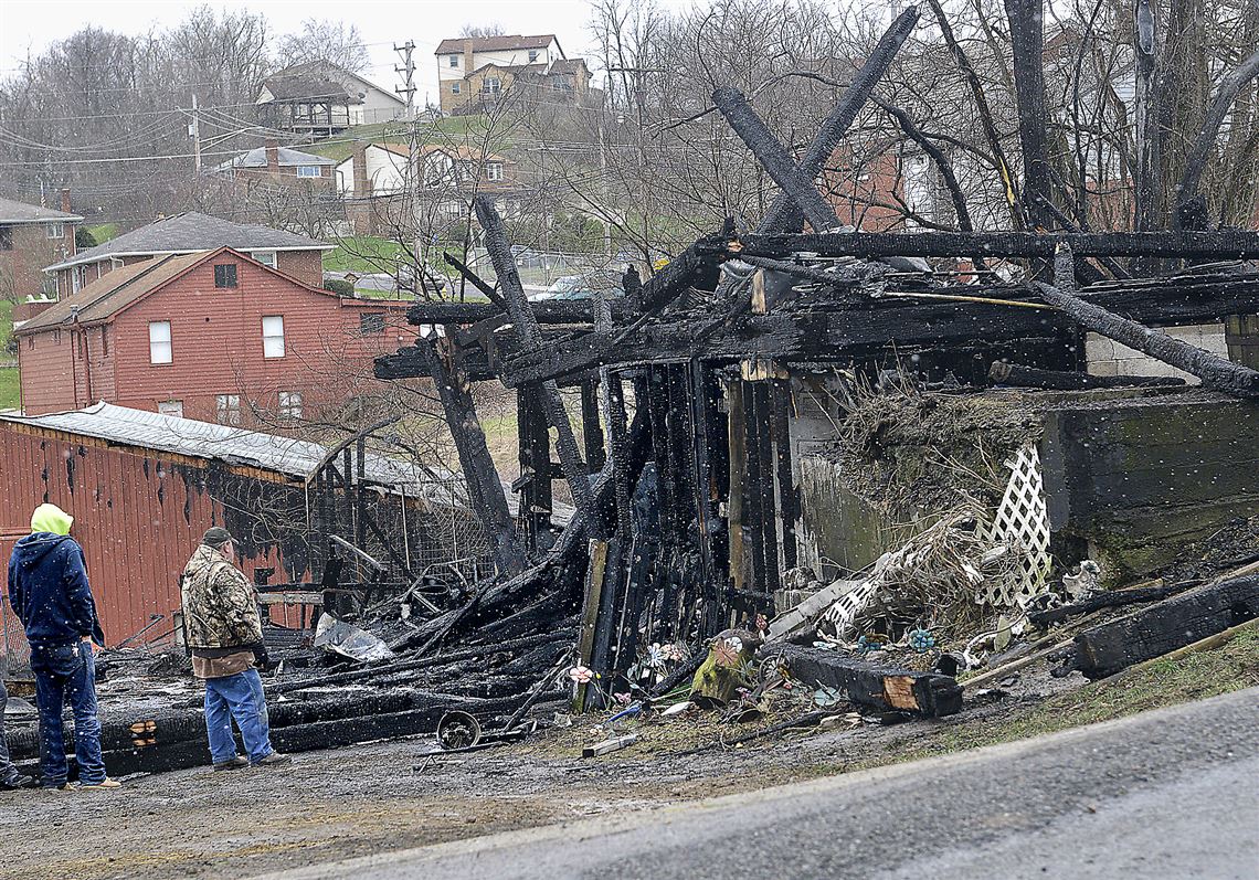 Several animals, including at least 7 horses, dead in South Park fire