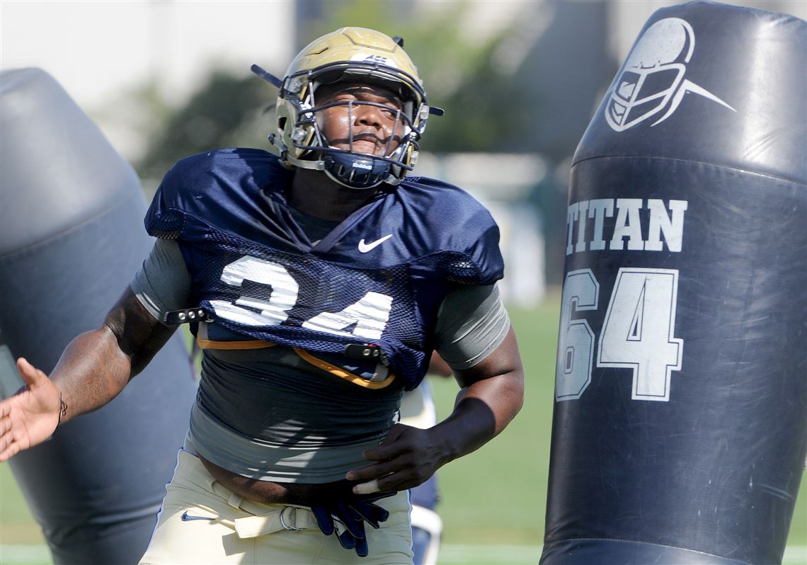 Three freshmen being counted on to help on Pitt's defensive line ...