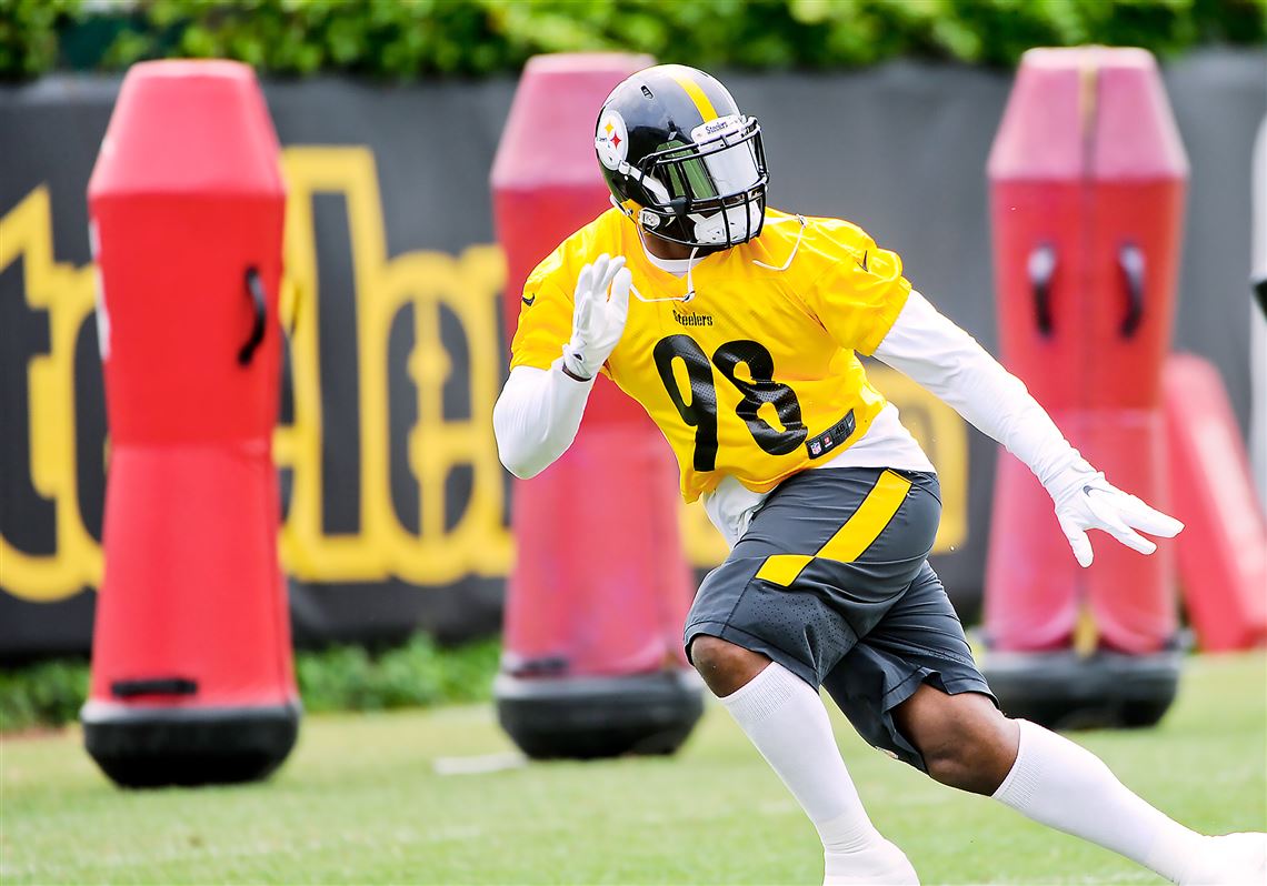 Vince Williams ready to step into starting role with Steelers