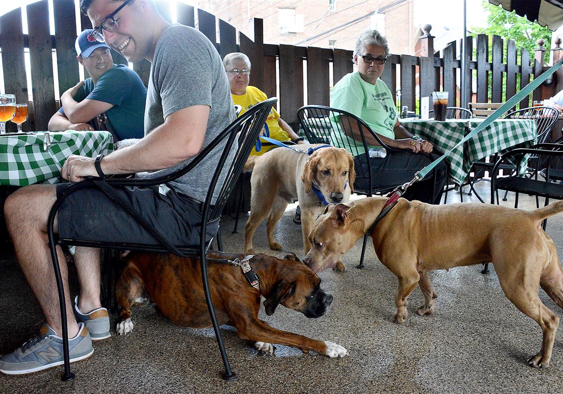 Pups, pizza and pints at Bado's in Mt. Lebanon | Pittsburgh Post-Gazette