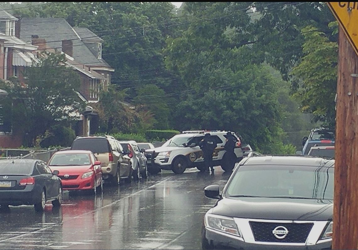 Felon sentenced for possessing gun tied to Lincoln-Lemington homicide