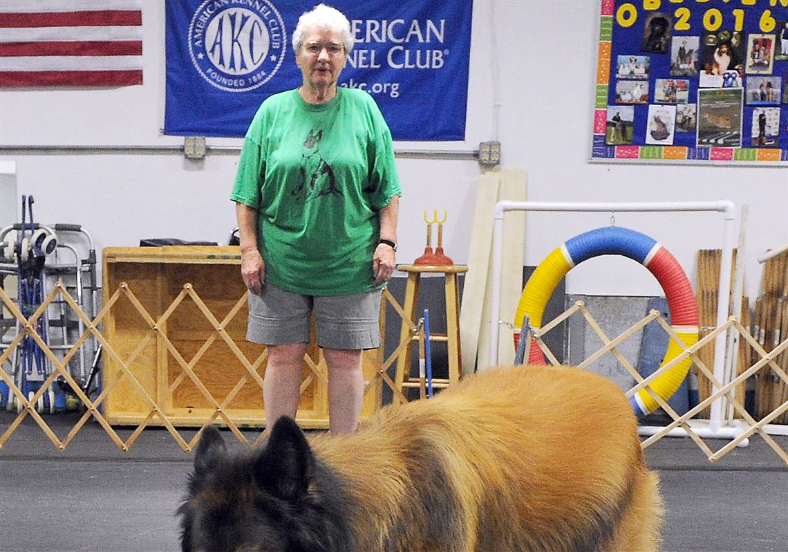 Pet Tales Bushy Run Kennel Club dog shows have their own cachet