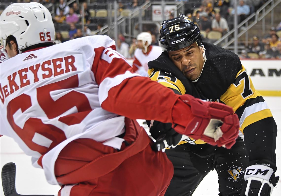 Meet new Red Wing Trevor Daley