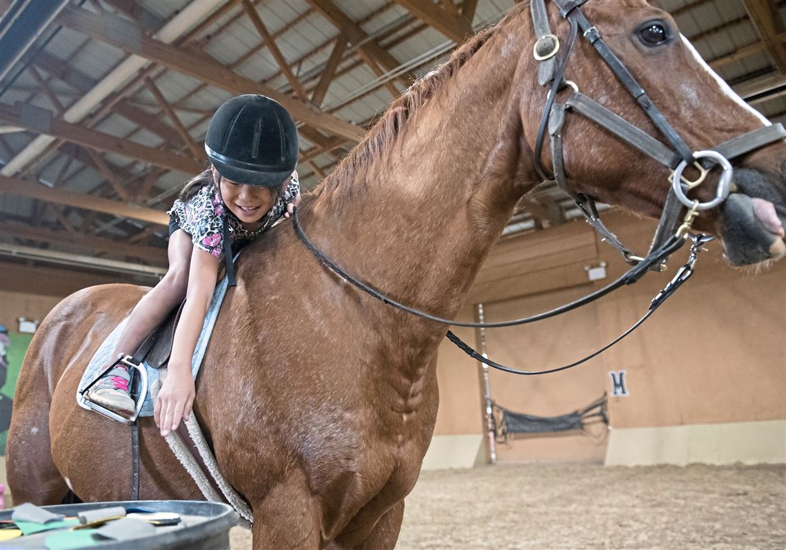 Pet Tales Joy Ride It Takes A Special Horse To Make Mark S Smile