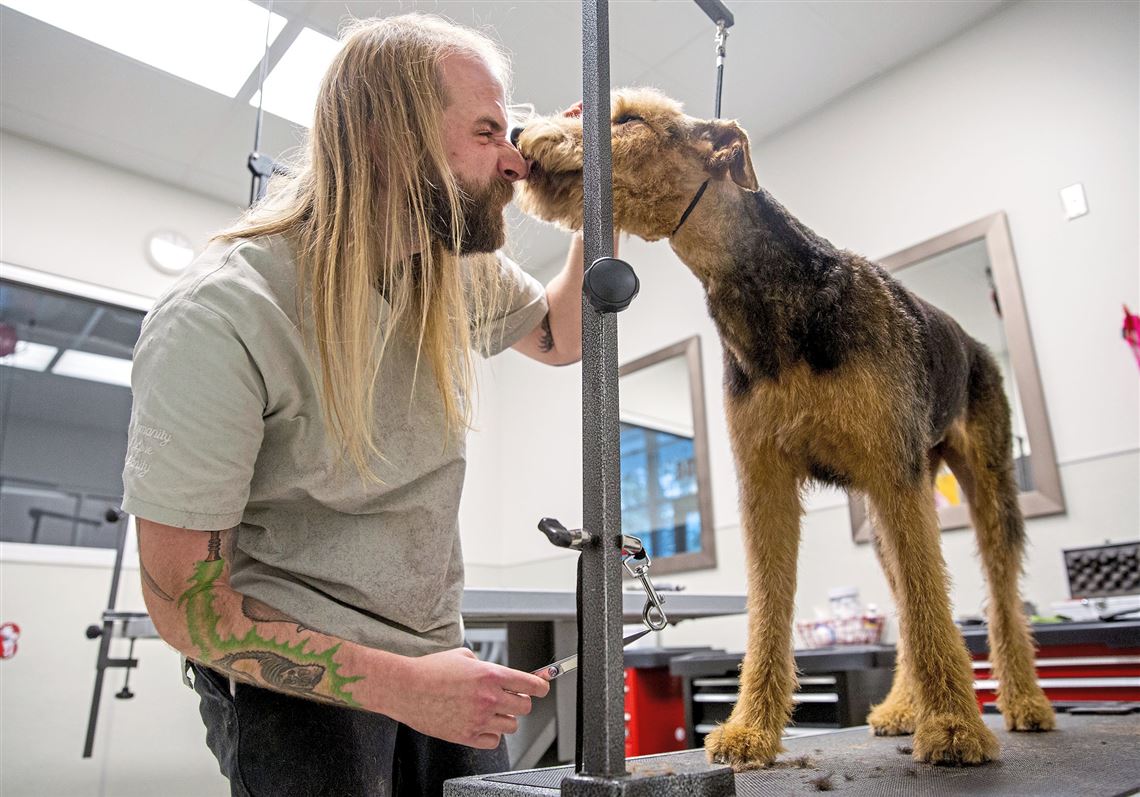 About 4,000 dogs head to work at Amazon headquarters daily Pittsburgh