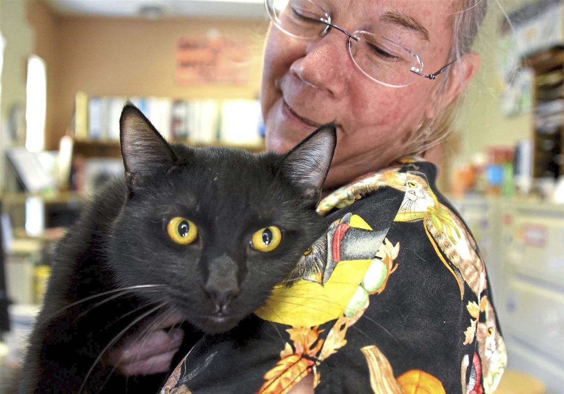 Animal Protectors of Allegheny Valley to announce nearly 1 million in