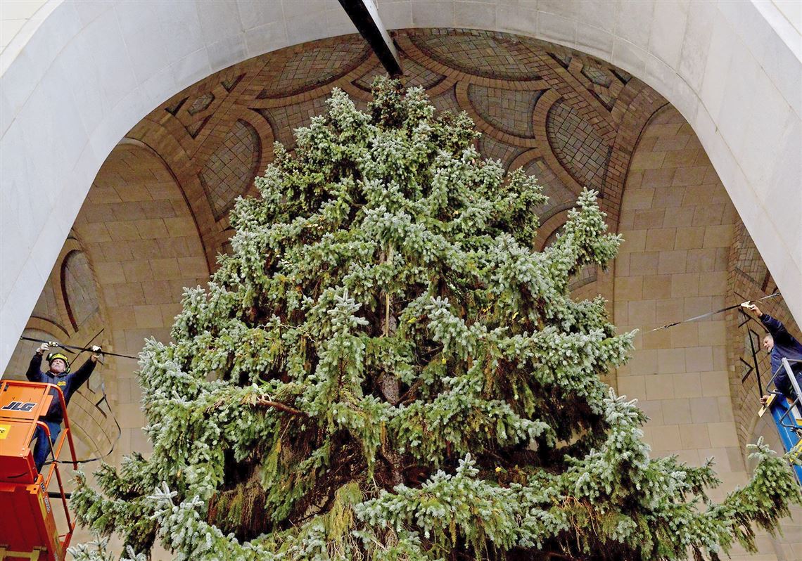 Christmas tree delivery set for Pittsburgh's CityCounty Building; traffic restrictions expected
