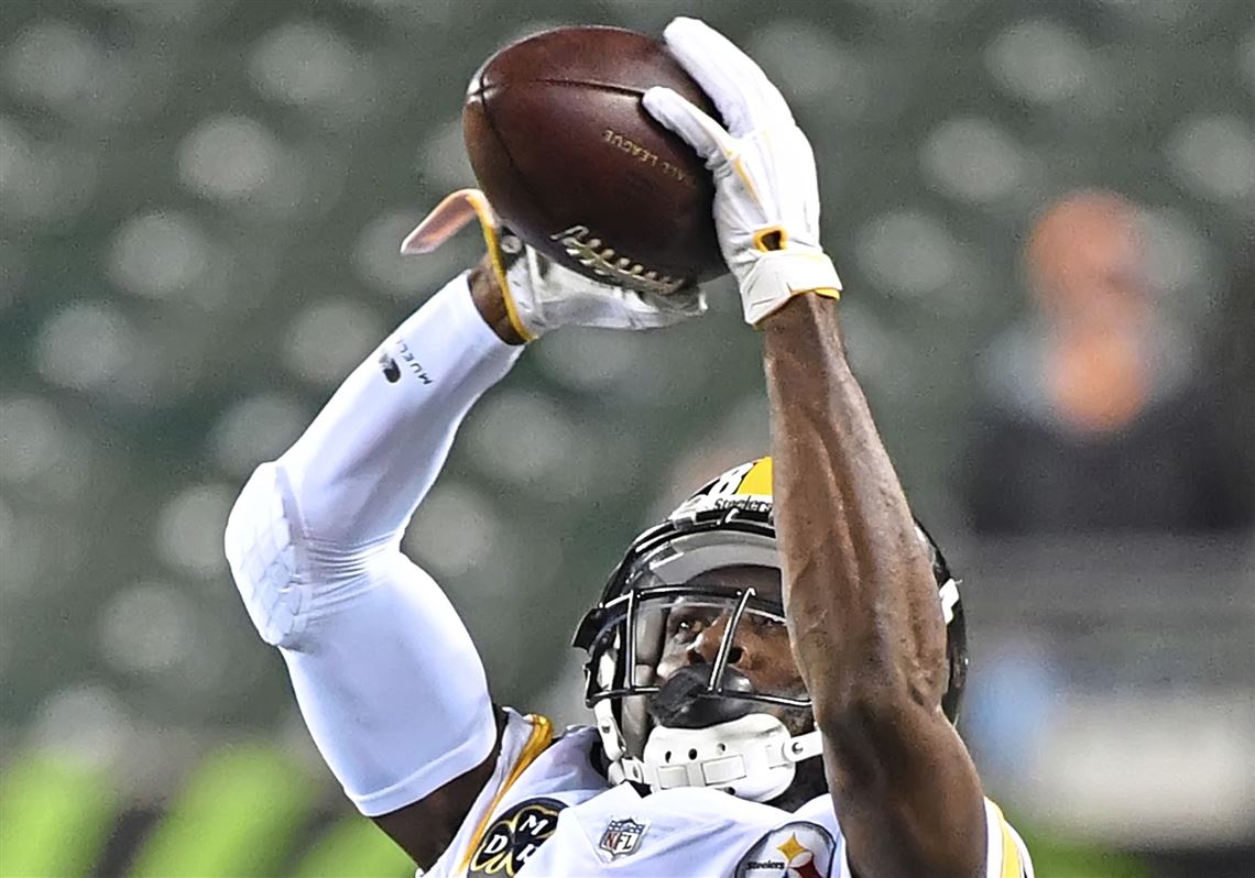 Steelers-Bengals fight during pregame warmups