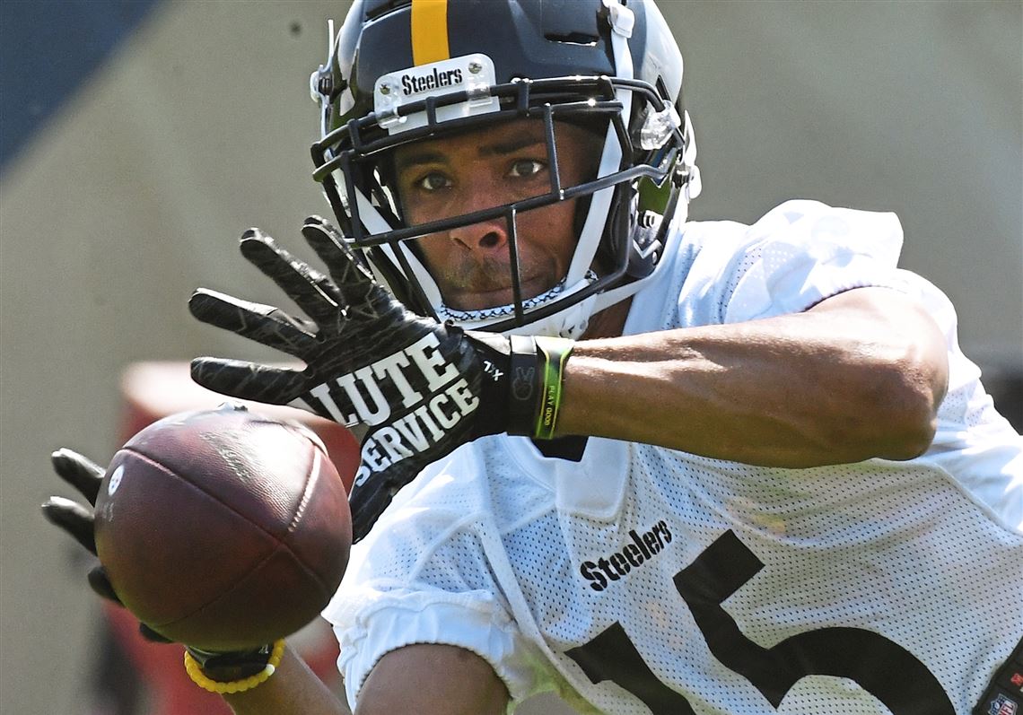 Steelers receiver Trey Griffey is following in his grandfather's