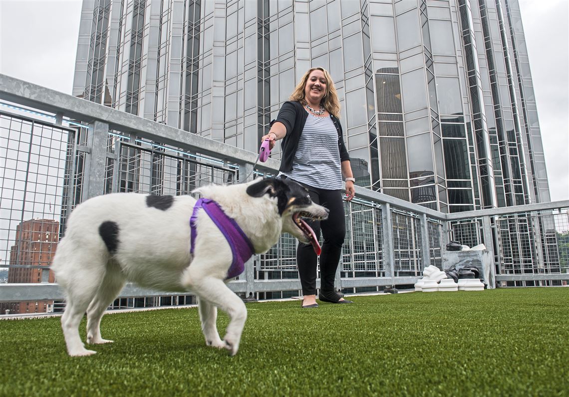 Dog park with a Downtown view opens Pittsburgh PostGazette