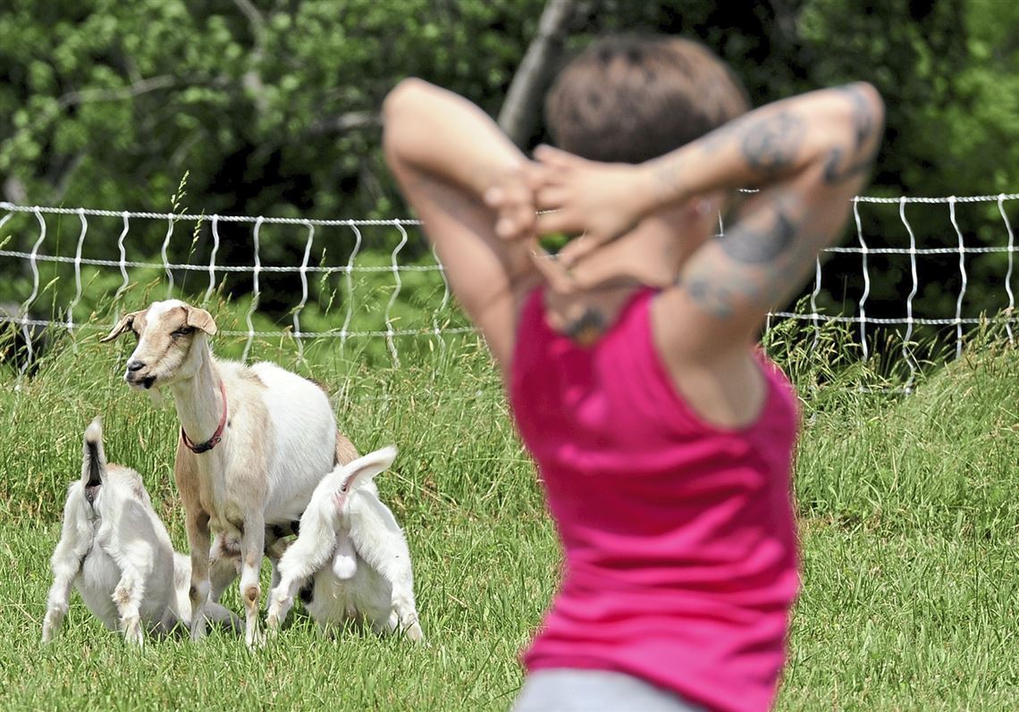Pet events: Try yoga by the lake with goats