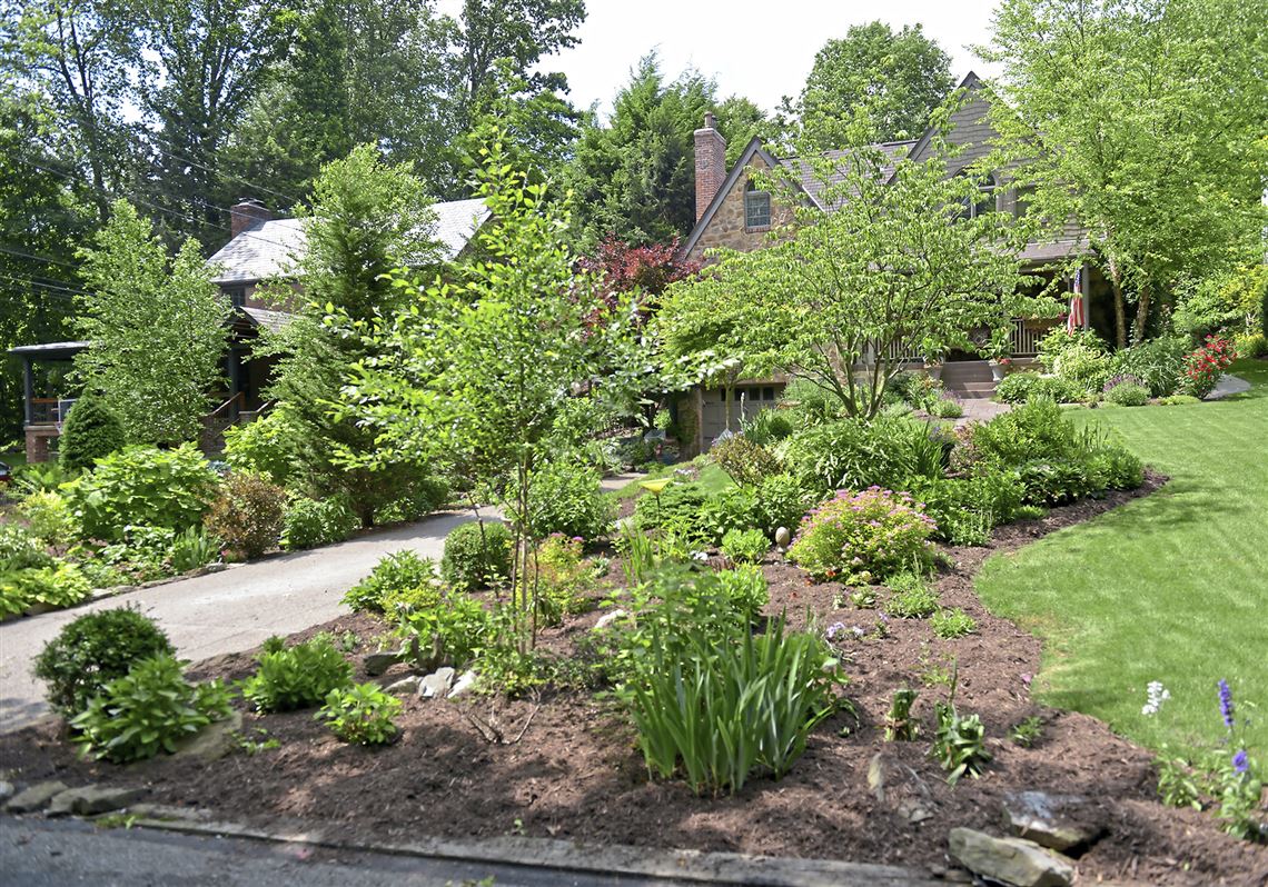 Constant Change Blooming Joy In This Mt Lebanon Garden