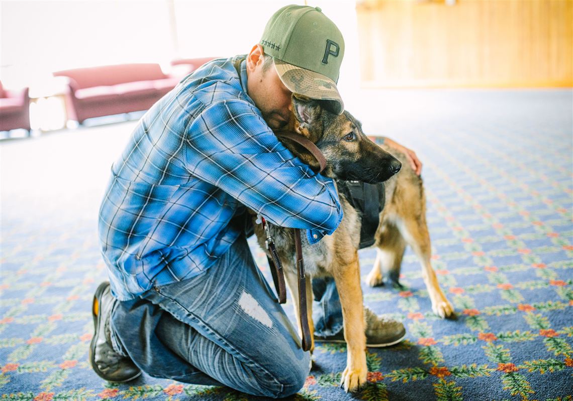 medical support dog