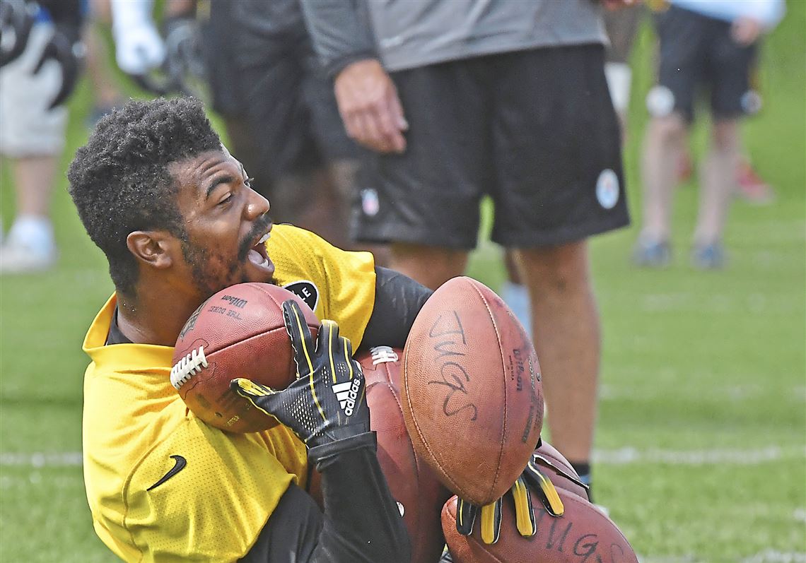 Steelers' Golden, Cockrell making most of opportunity