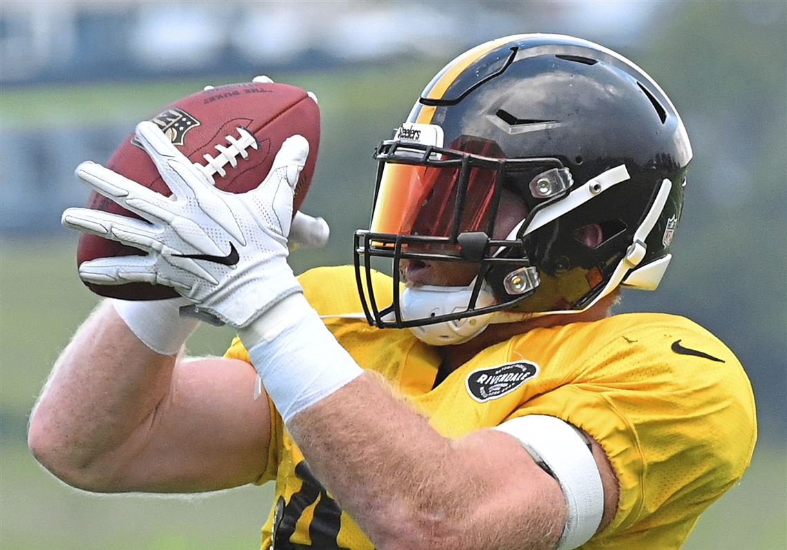 Tyler Matakevich Fights To Stay Relevant Among Steelers Linebackers ...