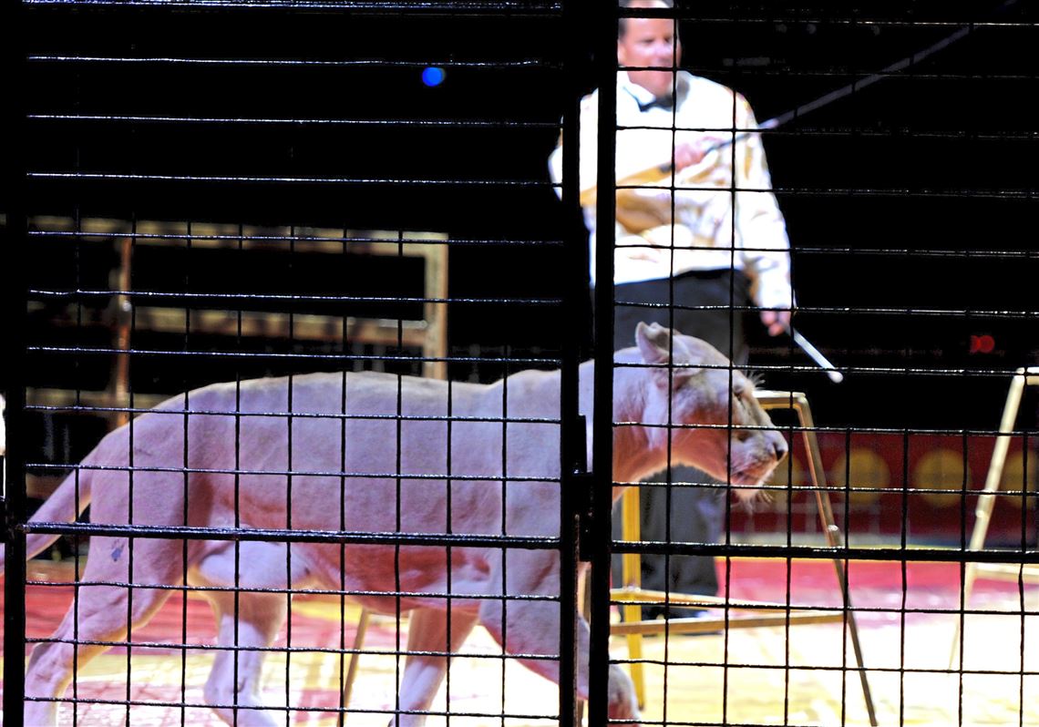 Syria Shriners say no circus in Pittsburgh this year