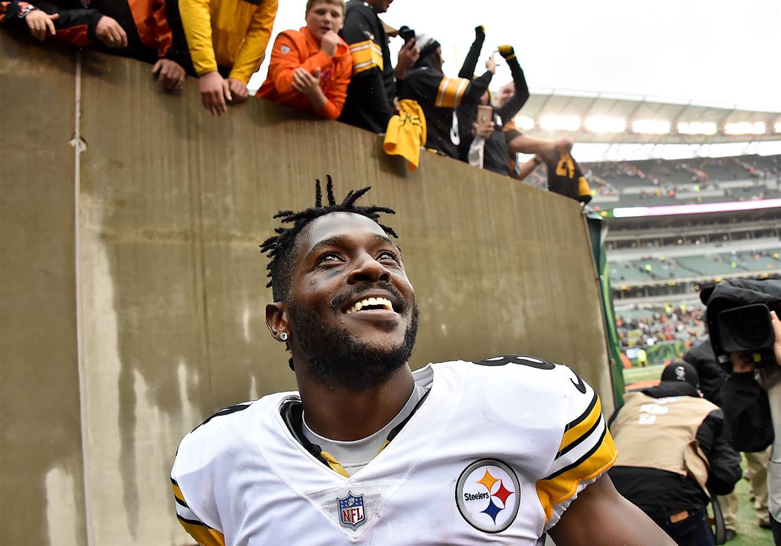 Antonio Brown urging Dez Bryant to sign with Steelers is an awful