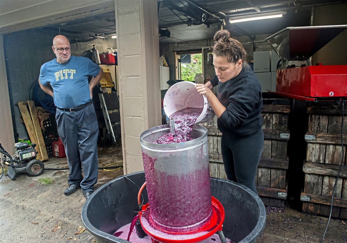 In Vino Veritas Zelienople family turned winemaking hobby into