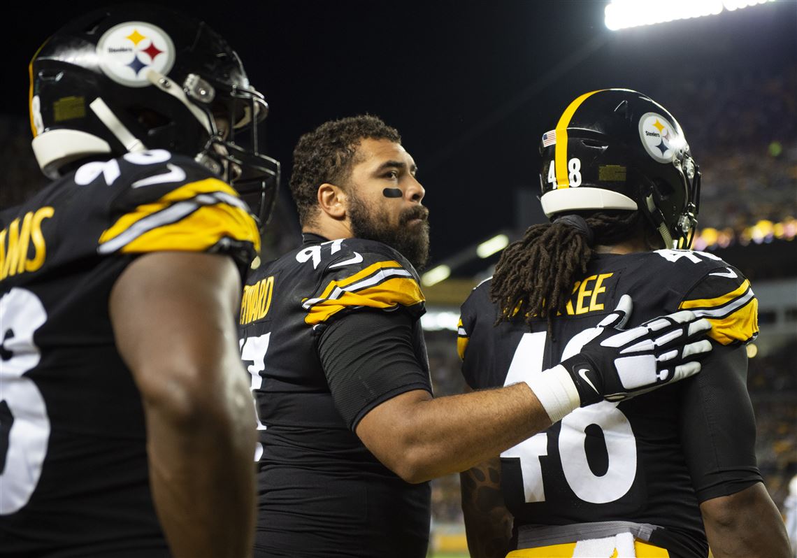 Troy Polamalu, Mike Tomlin? Who To Blame for the Steelers' Super