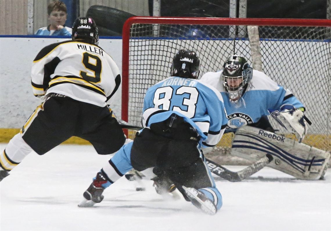 Seneca Valley Hockey Is Back On Track 