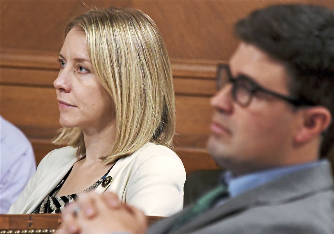 'We want to get facts': Council to ask experts about gun bills