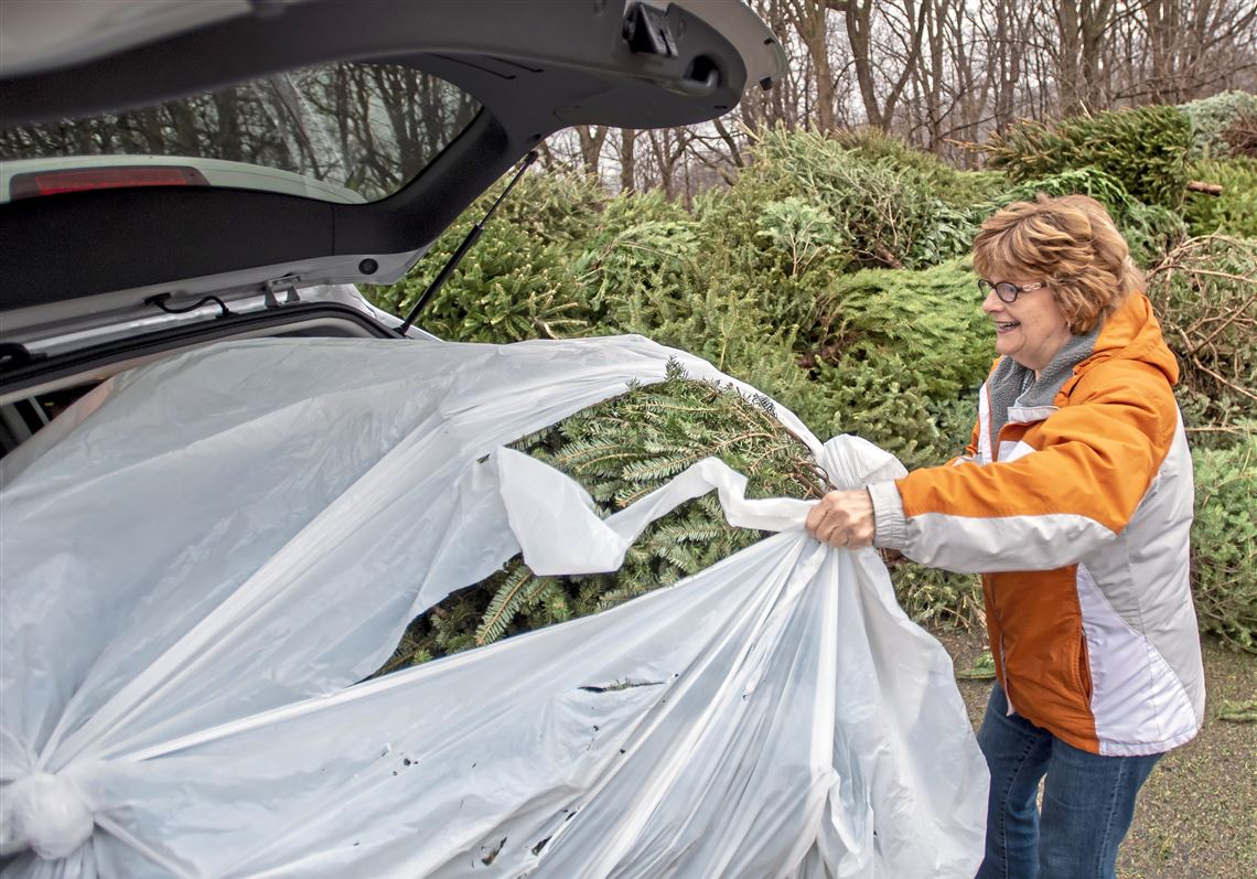 Pittsburgh will open five centers for Christmas tree recycling