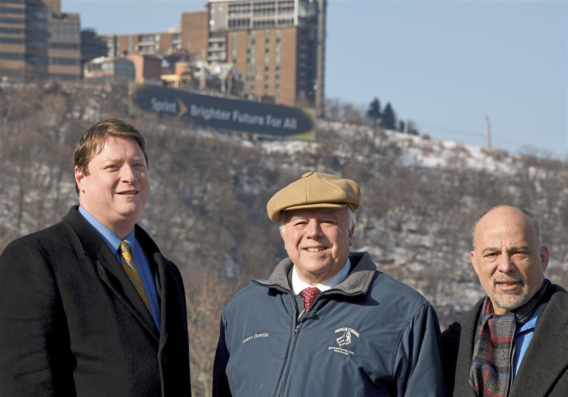 Scenic groups say too many power lines are blocking view of city