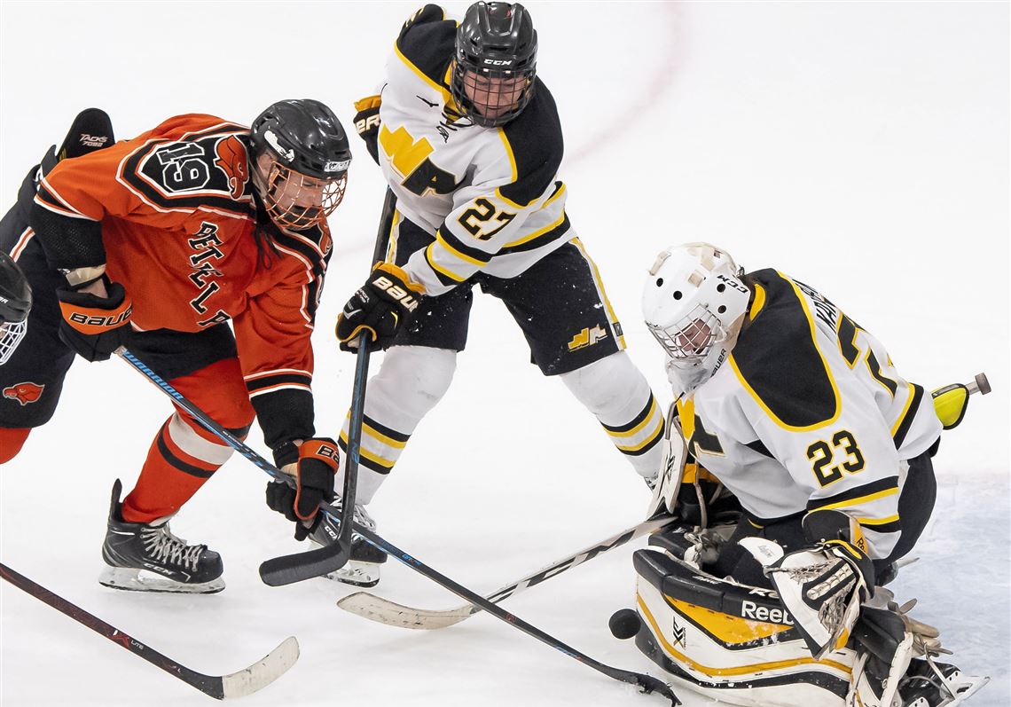 Former Steelers, Penguins, Pirates pitch in to help save Robert Morris  hockey