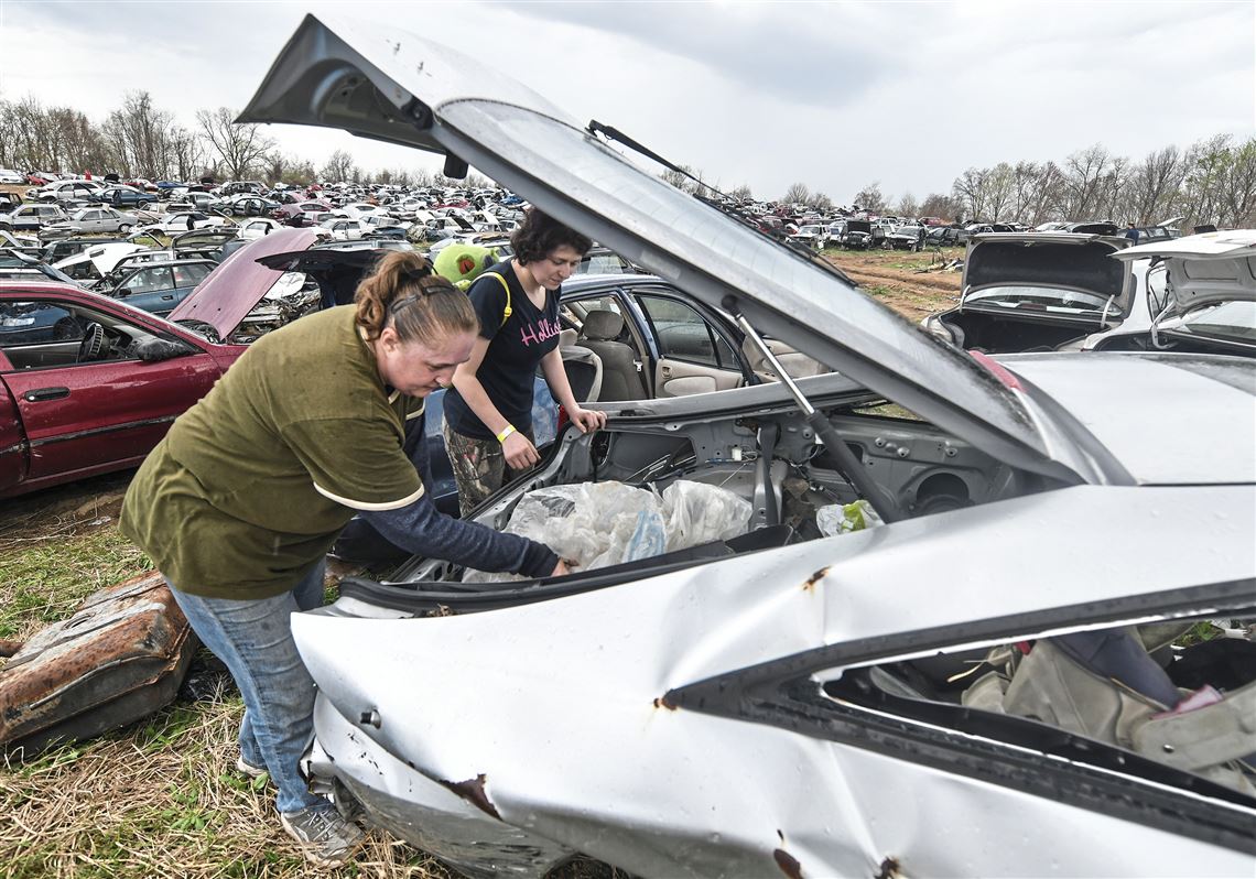 Hundreds driven by cash prizes at Easter egg hunt in a junk yard
