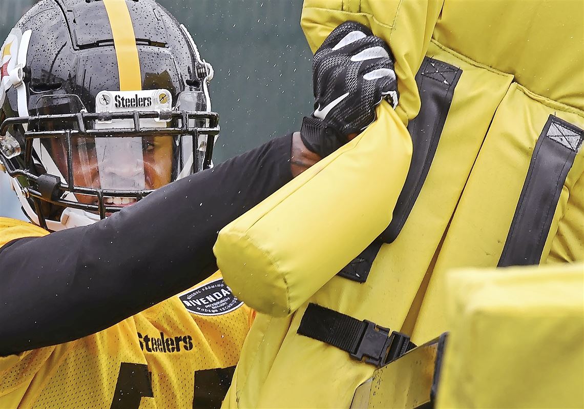 Devin Bush quickly gets to leading Steelers defense