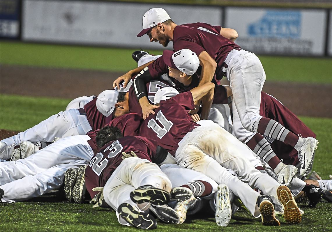 Beaver baseball weathers the storm to win WPIAL title 
