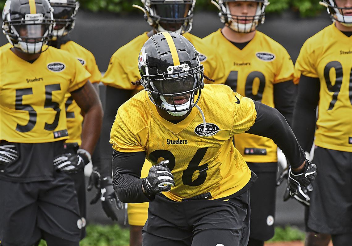 Steelers' new linebackers impressing coaches away from the field