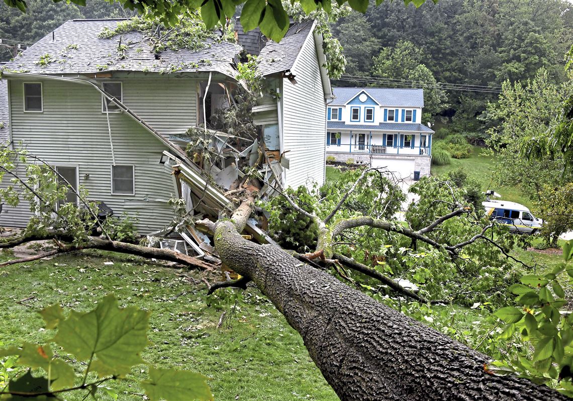 Man Dies After Large Tree Falls On Penn Township Home Trapping Him In