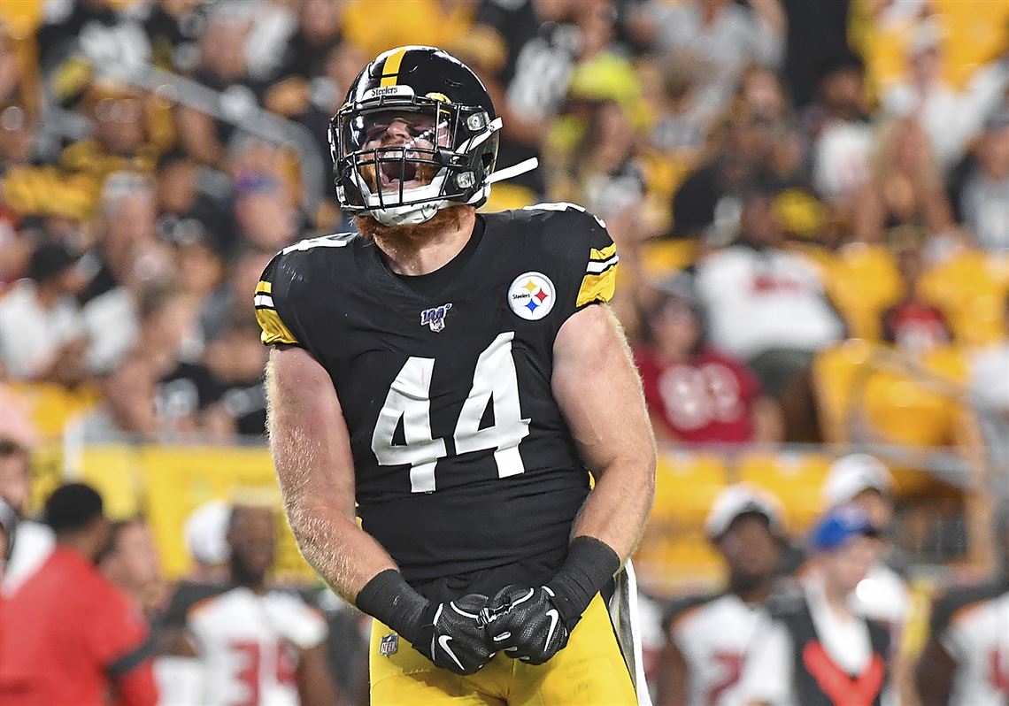 Steelers sign Tyler Matakevich to 1-year deal | Pittsburgh Post-Gazette