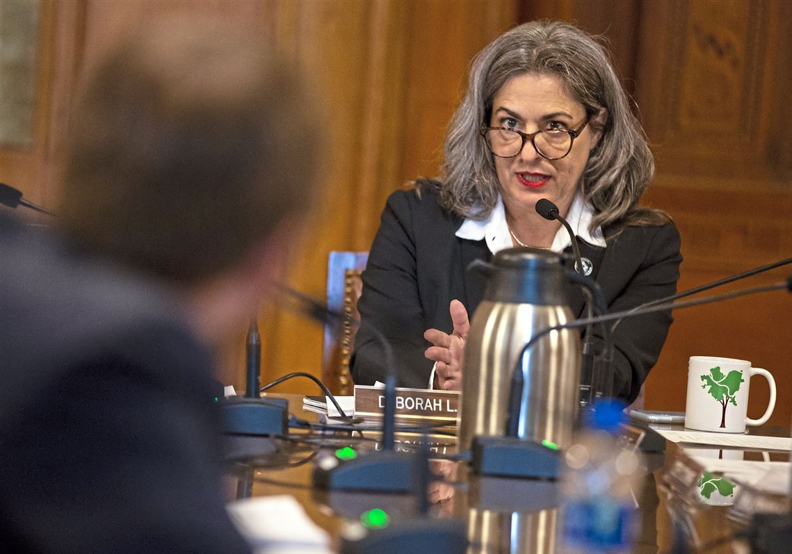 Four Pittsburgh City Council members urge votes against parks tax