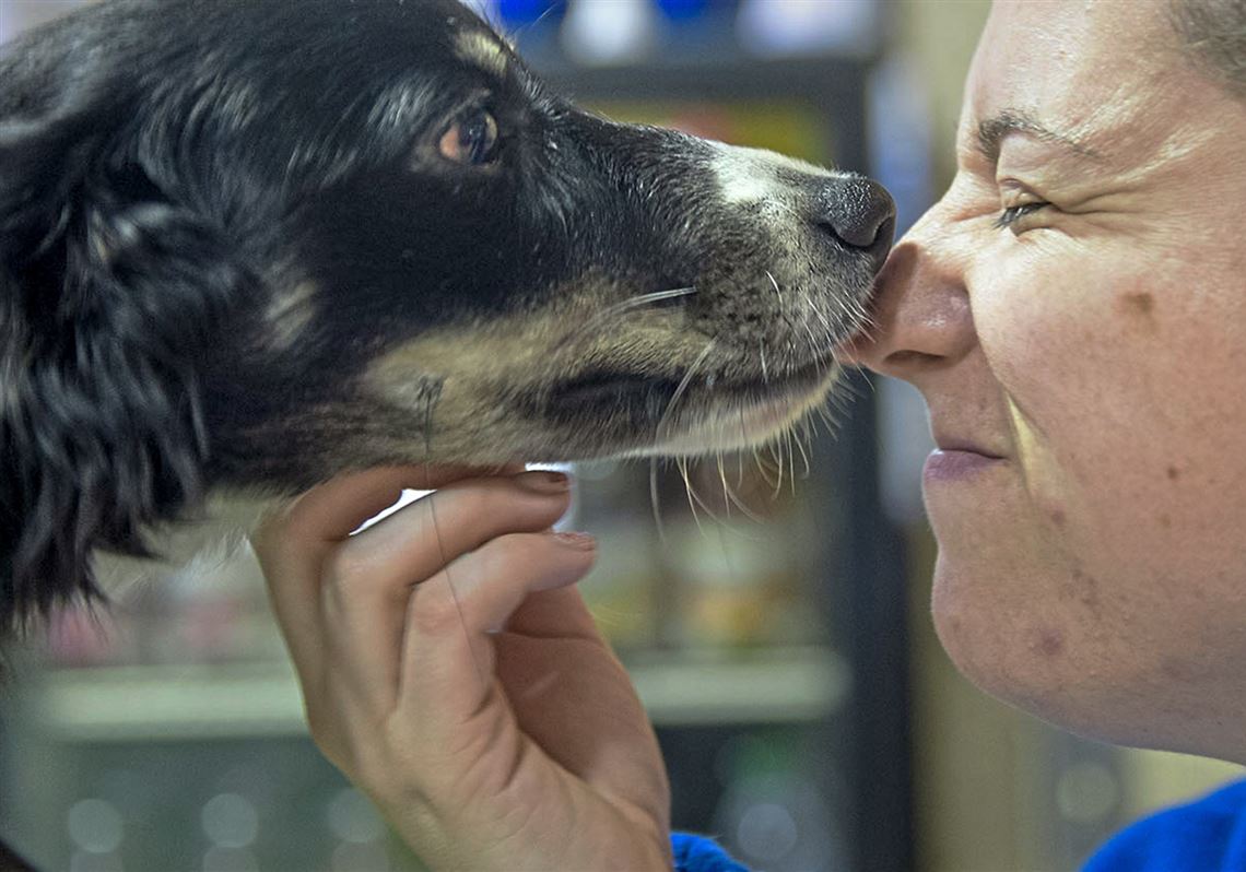 Greene County Animal Shelter Volunteer - My Hobby