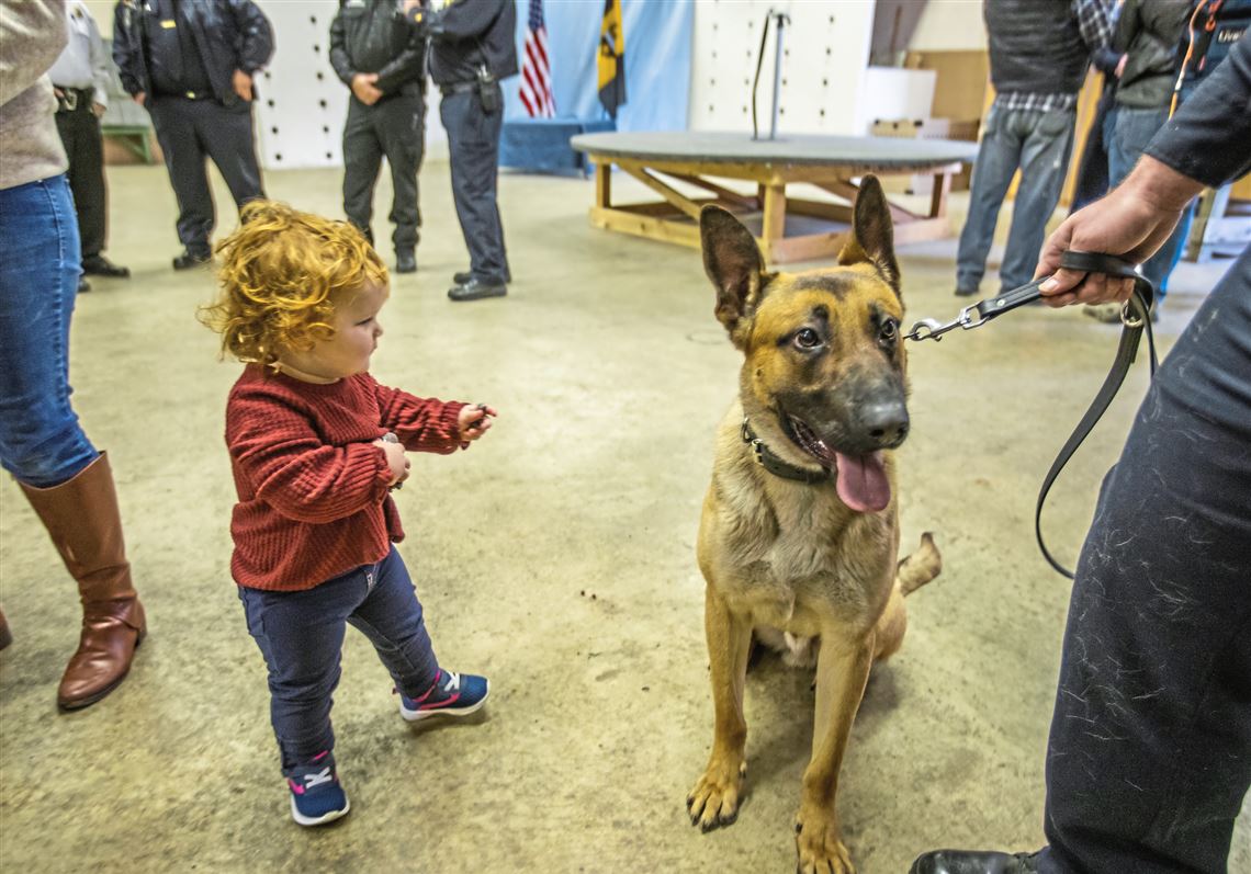 police academy dog training